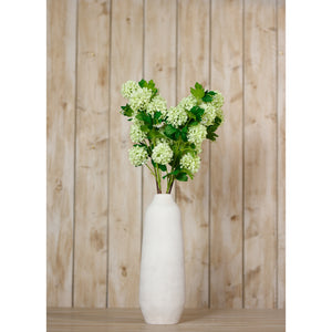 Green Snowball Viburnum Spray_4972