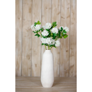 Green Snowball Viburnum Spray_4701