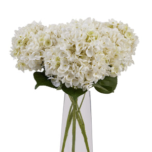 Hydrangea Bunch_5880