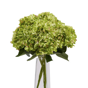 Hydrangea Bunch_4922