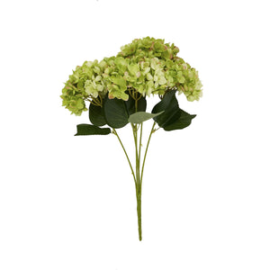 Hydrangea Bunch_4921