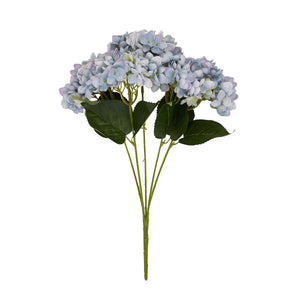 Hydrangea Bunch_4448