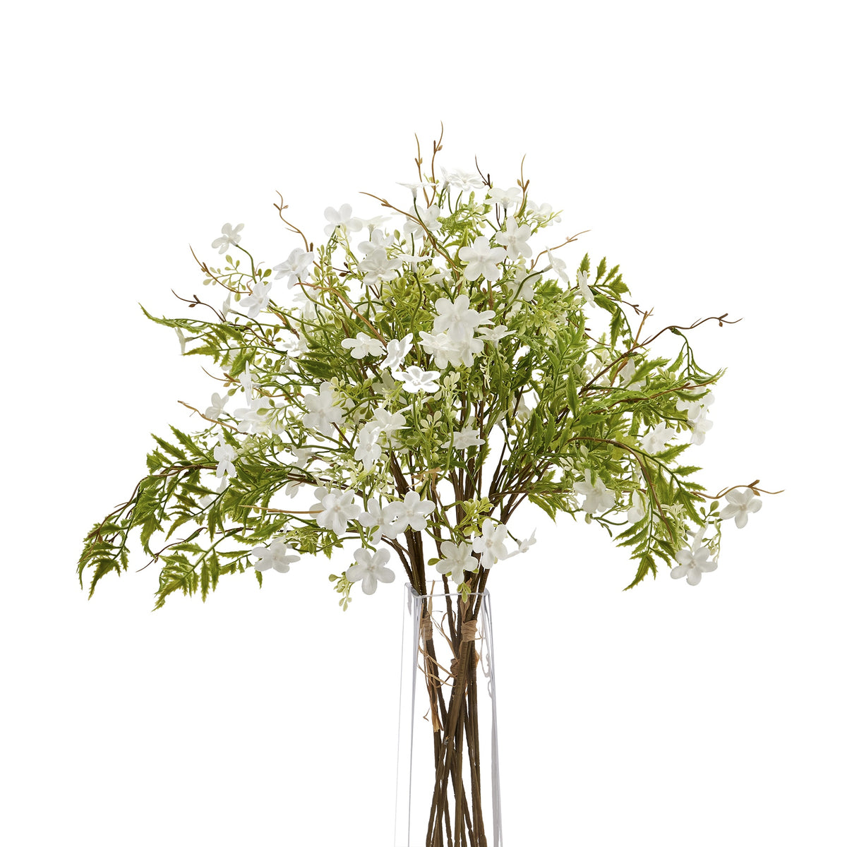 Italian White Bellflower_5003