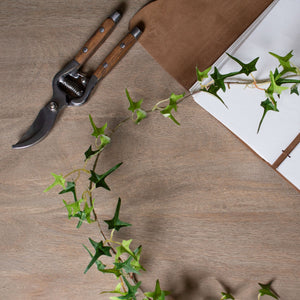 Ivy Garland_3202
