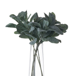 Lambs Ear Spray_5013
