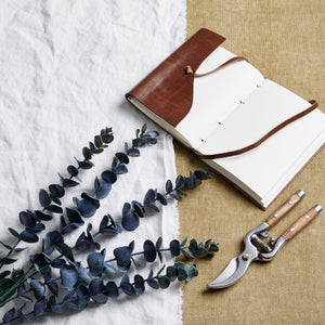 Large Blue Eucalyptus Stem_5021