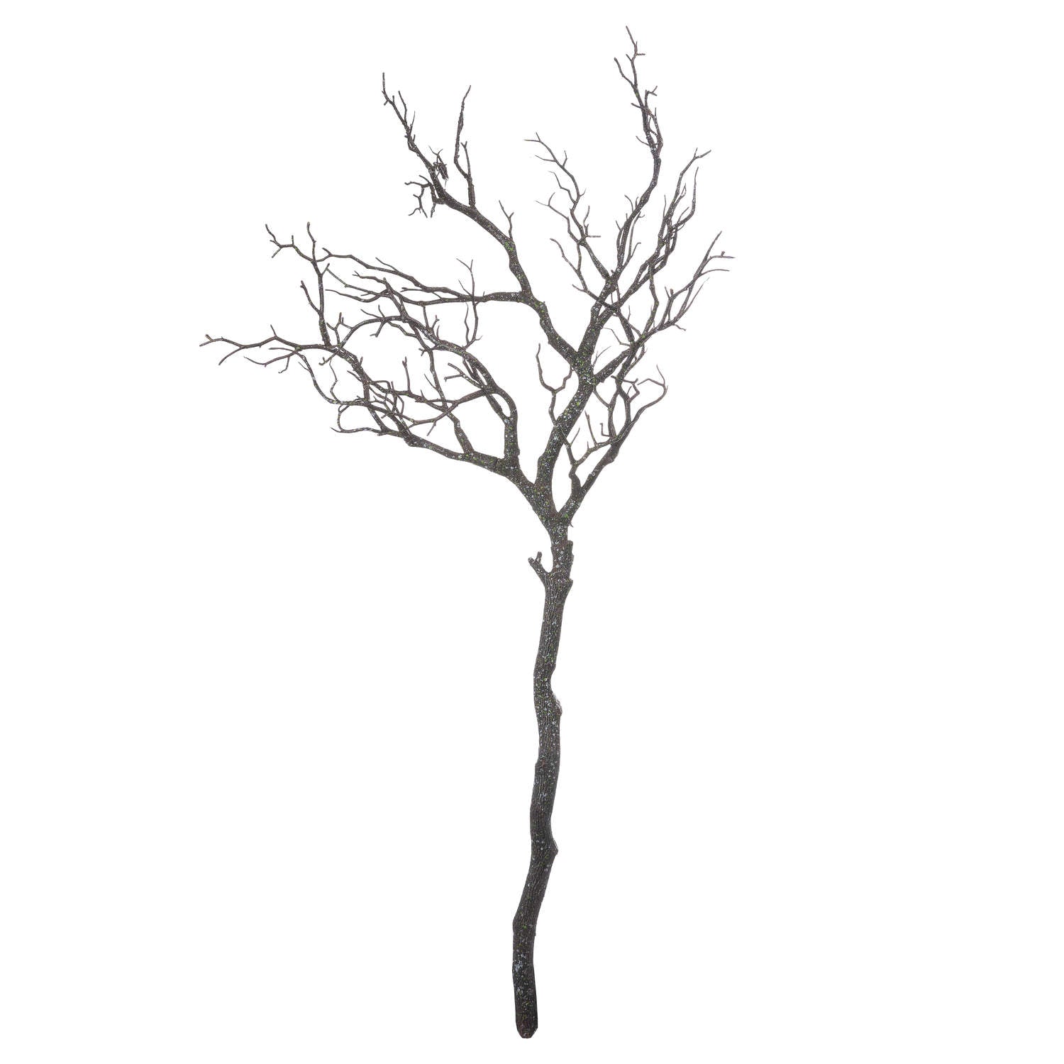 Large Branch Spray_1849