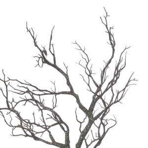Large Branch Spray_1850