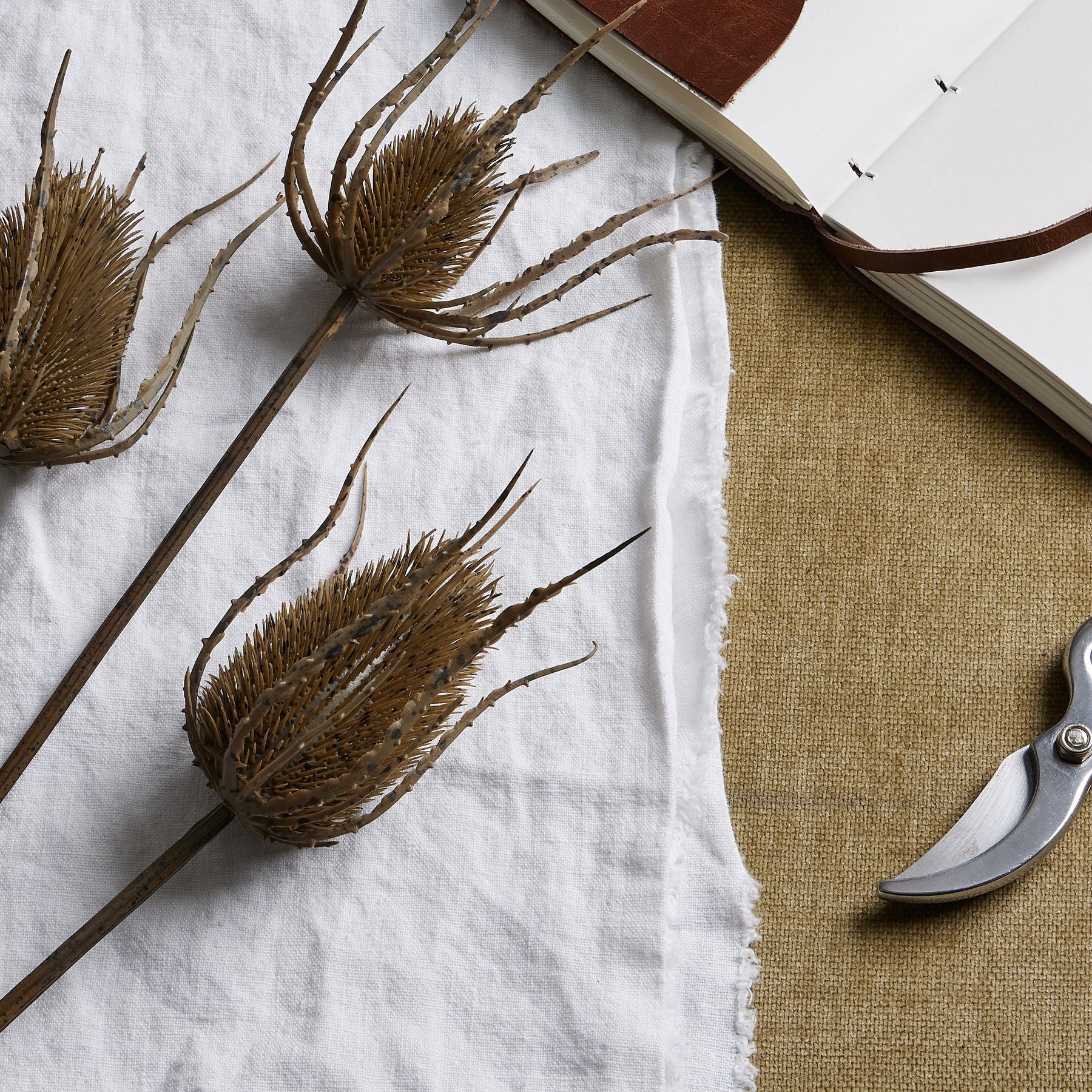 Large Brown Triple Teasle Stem_5026