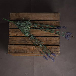 Lavender Spray_5073