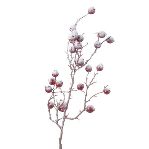 Large Red Festive Berry_1933
