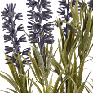 Lavender Spray_5538