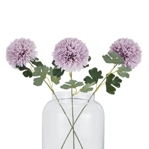 Light Purple Chrysanthemum_5206