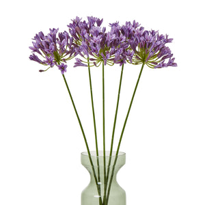 Lilac Agapanthus Spray_5209