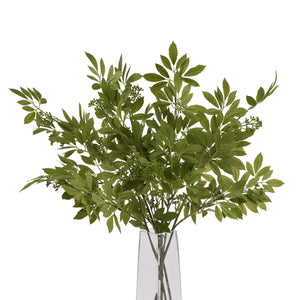 Long Fennel Stem_5242