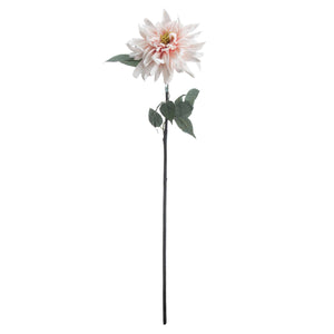 Lush Pink Dahlia_5246