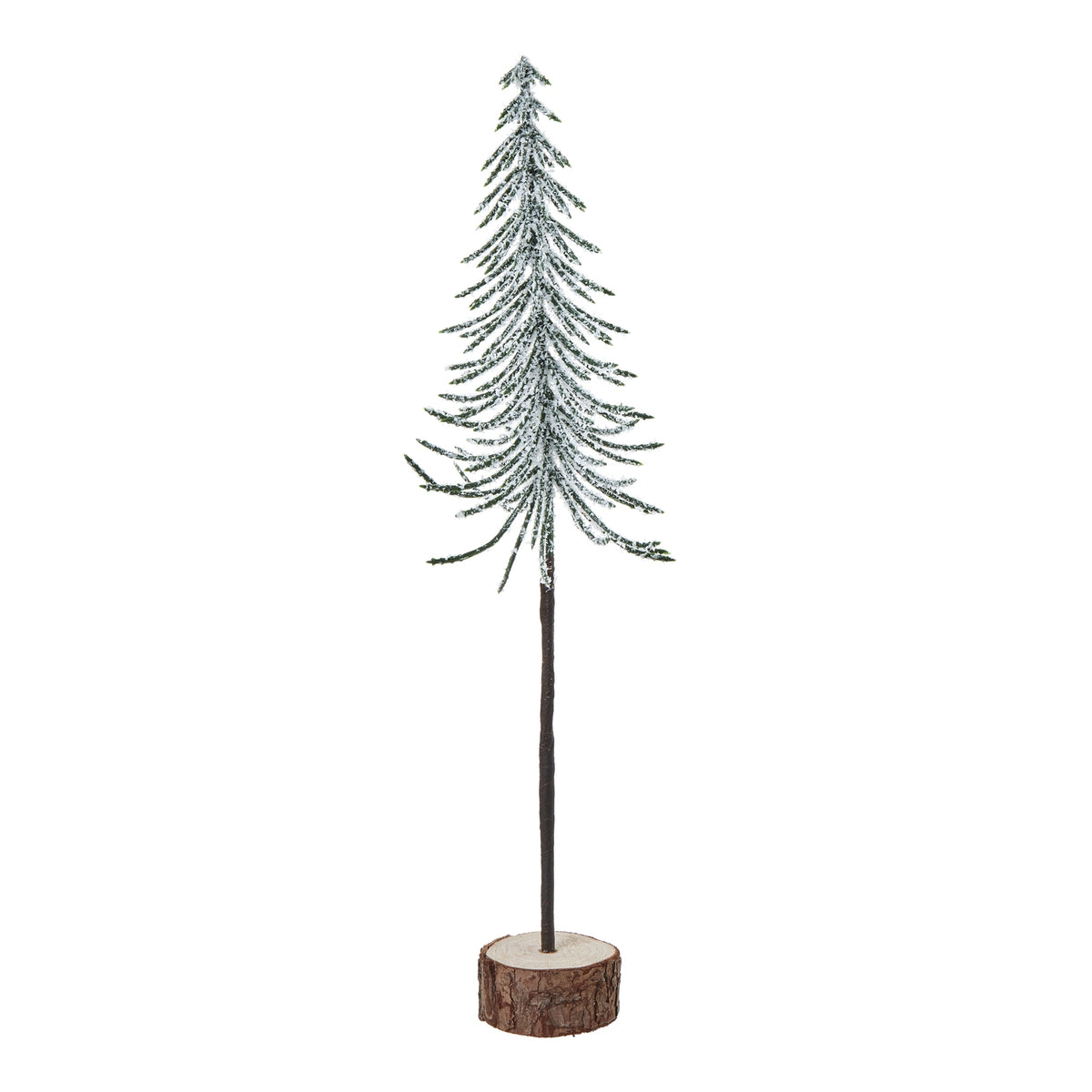 Snowy Spindle Tree In Wood Log_2575