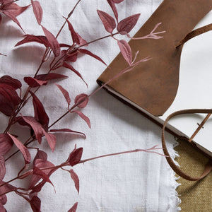 Ornamental Burgundy Leaf_5307