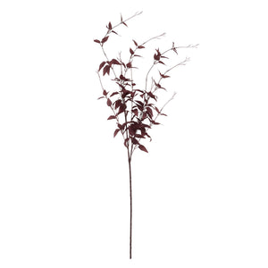 Ornamental Burgundy Leaf_5309