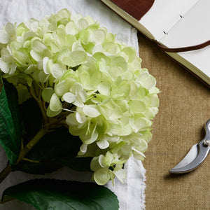 Oversized Hydrangea_5312
