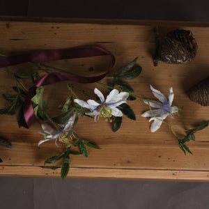 Passion Flower Spray_5337
