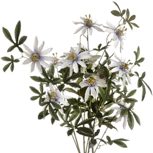 Passion Flower Spray_5339