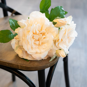 Peachy Cream Short Stem Rose Bouquet_5356