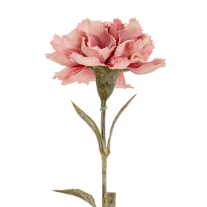 Carnation Stem_5370