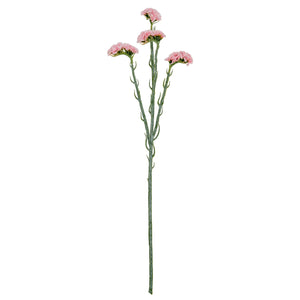 Pink Statis Spray_5403