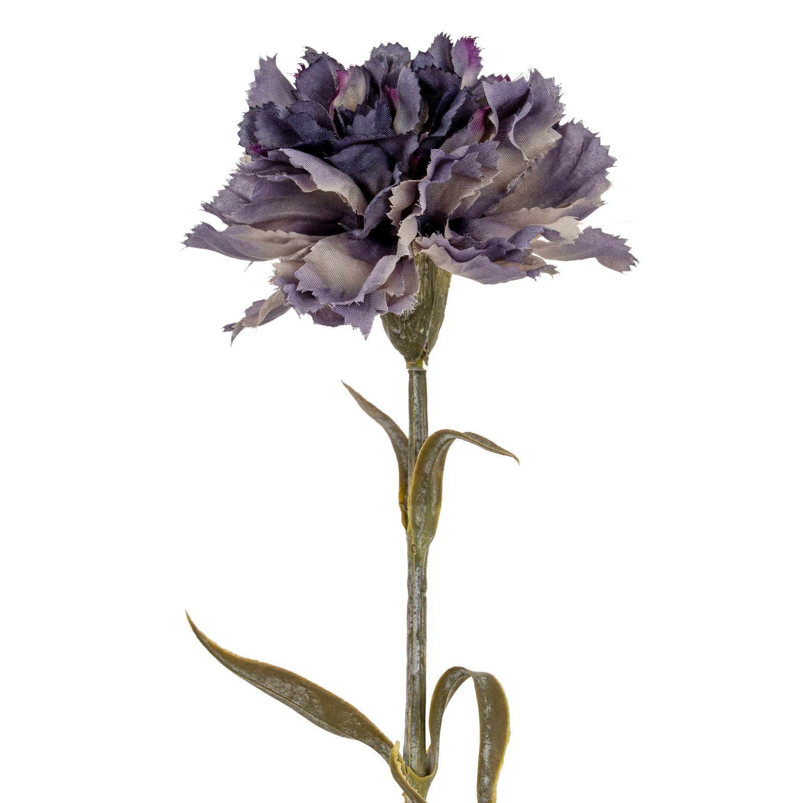 Carnation Stem_5421