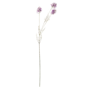 Purple Meadow Flower_5440