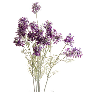 Purple Meadow Flower_5439