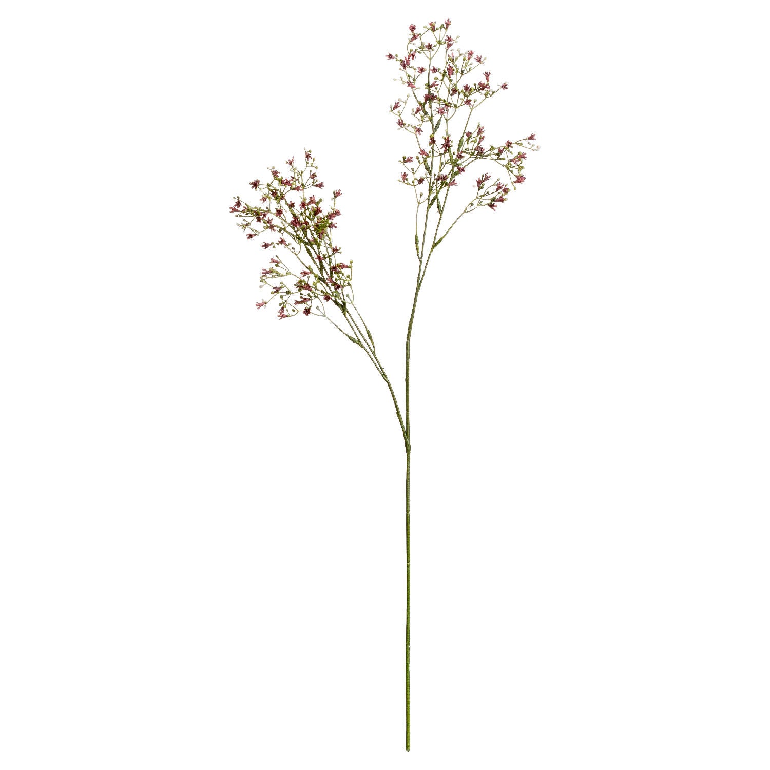 Purple Wildflower Small Spray_5449