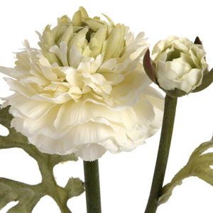Green Ranunculus Spray_4954