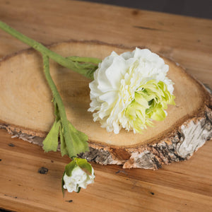 Green Ranunculus Spray_4952