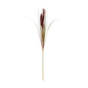 Ruby Triple Grass Stem_5476