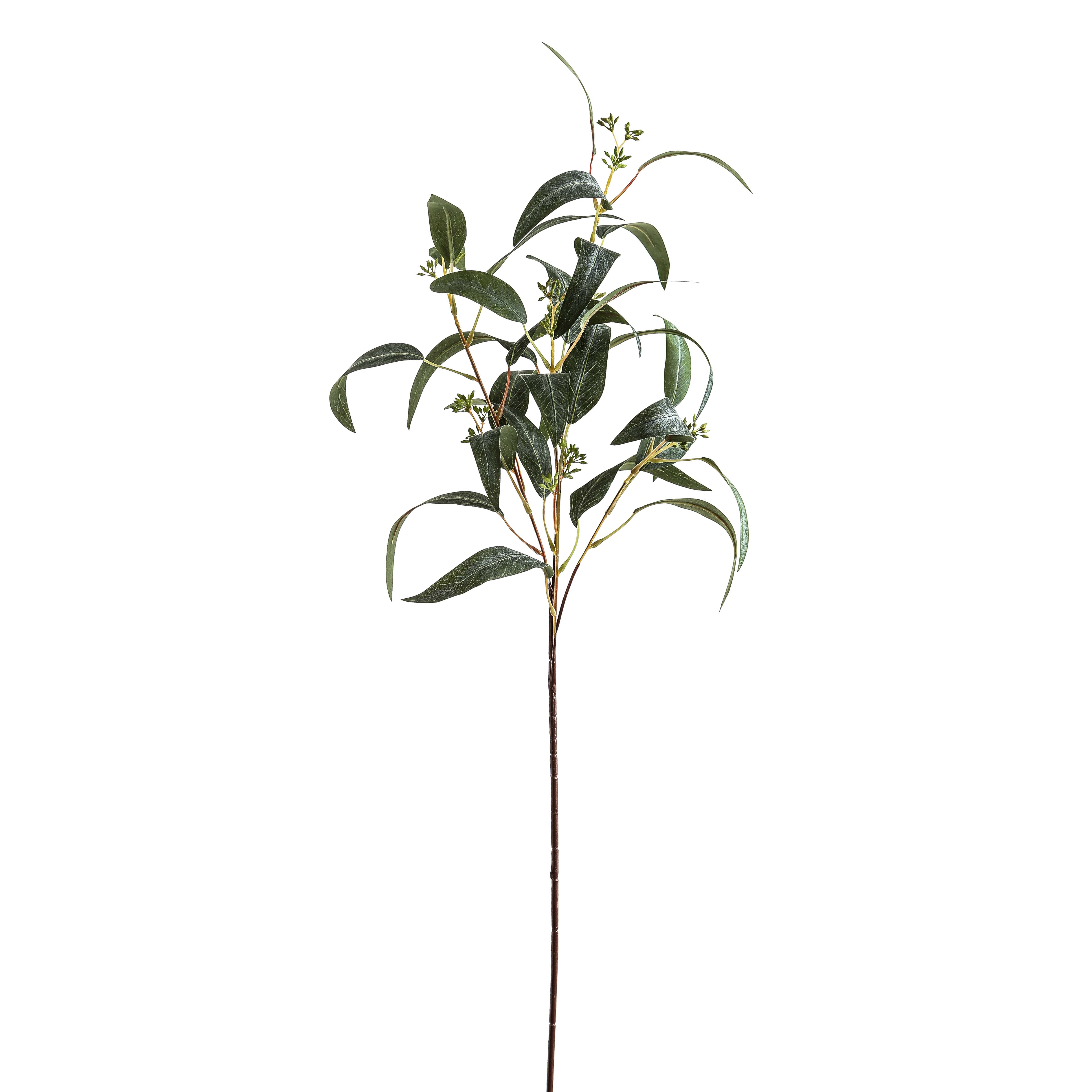 Seeded Eucalyptus Spray_5478