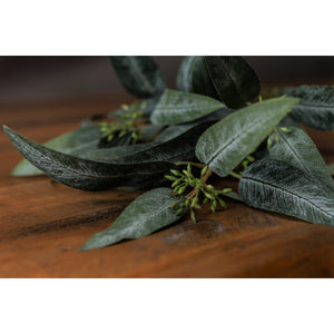 Seeded Eucalyptus Spray_5480