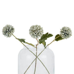 Pale Green Blue Short Chrysanthemum_5330