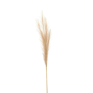 Bleached Faux Pampas Grass Stem_4423