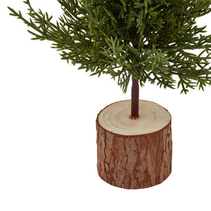 Small Green Fir Tree In Wood Log_3194