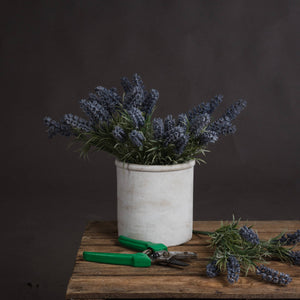 Lavender Spray_5534