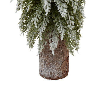 Small Snowy Fir Tree On Tall Wood Log_3229
