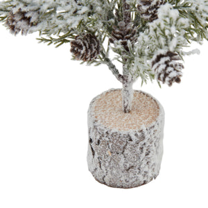 Small Snowy Fir Tree With Pinecones In Wood Log_3236