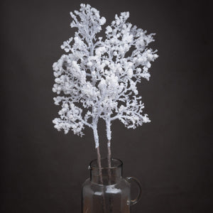 Snowy Branch_3293