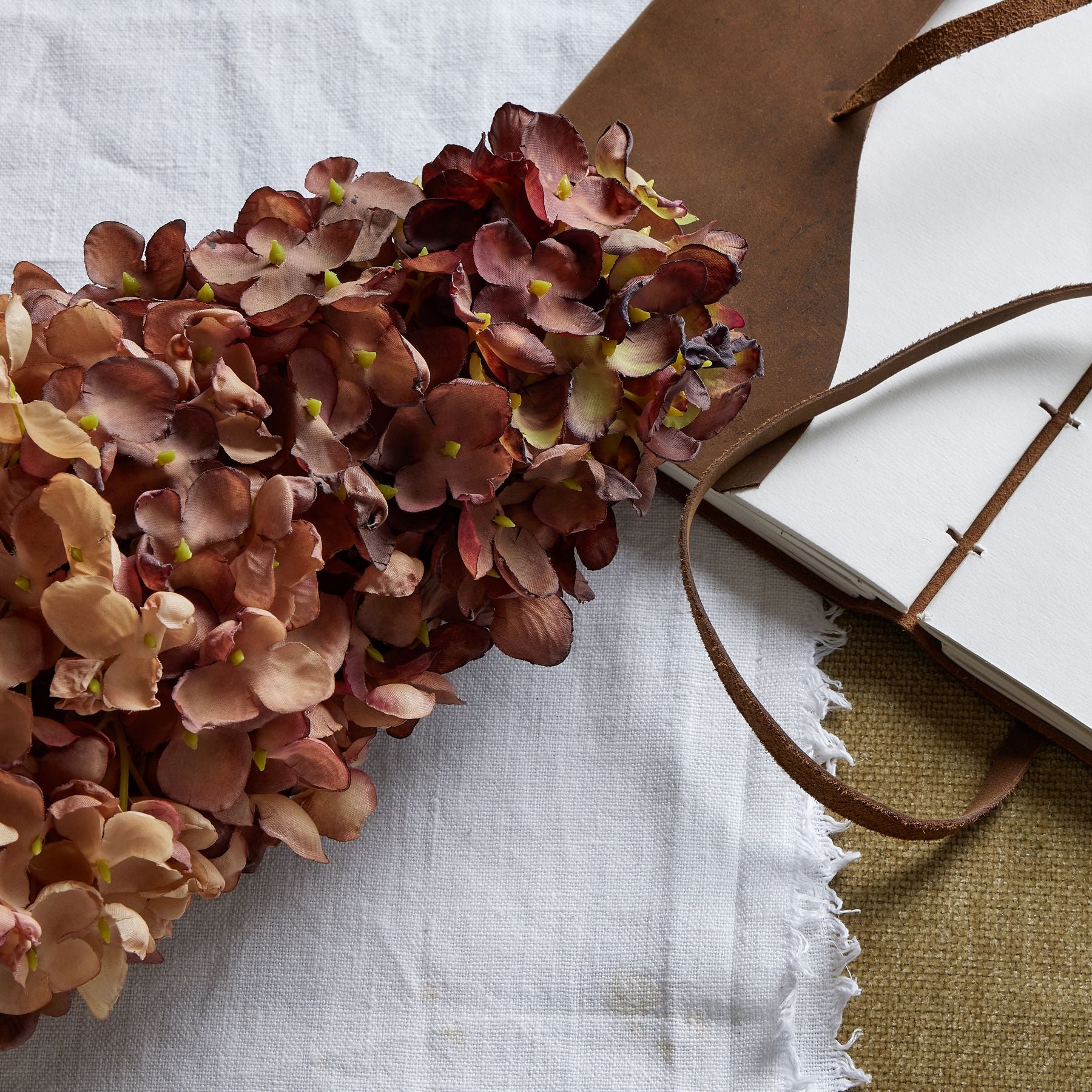 Burgundy Spear Hydrangea_4537