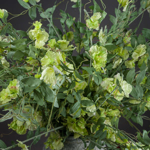 Sweet Pea Trail_5558