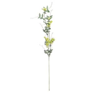 Sweet Pea Trail_5560