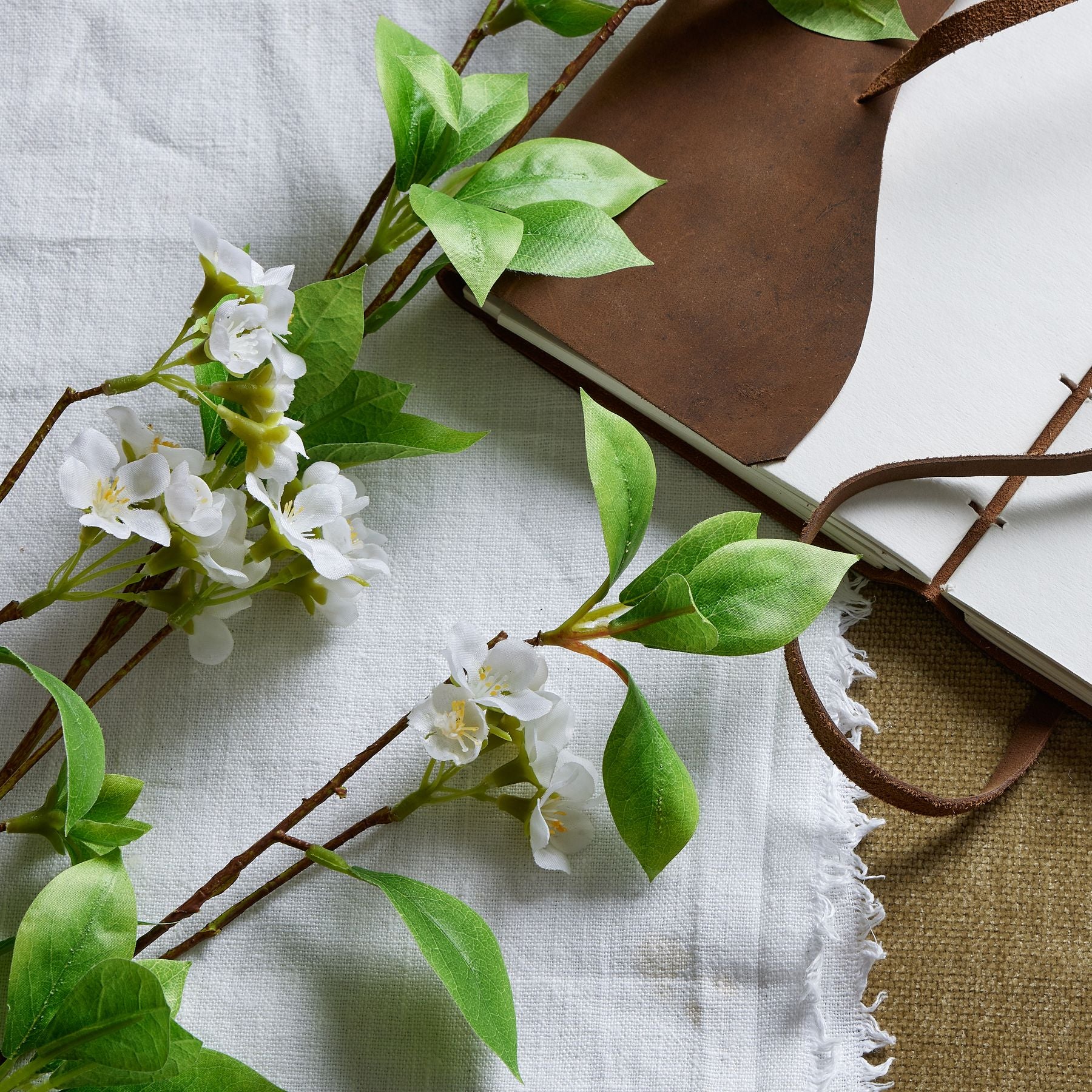 Tall Mock Orange Spray_5581