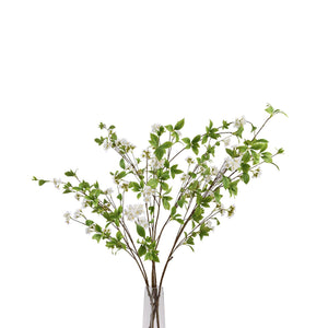 Tall Mock Orange Spray_5584